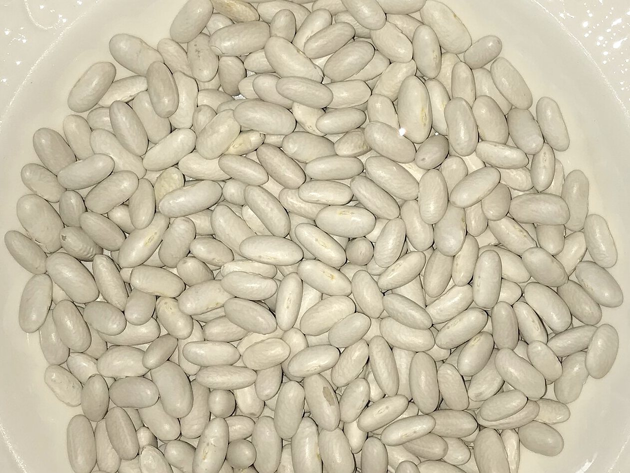 Fasulye