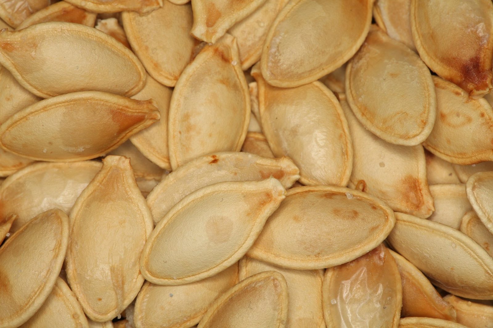 Kabak Çekirdeği